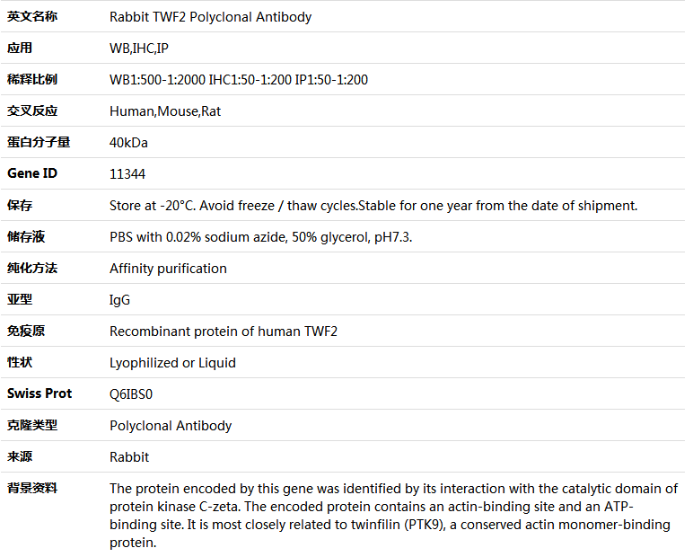 TWF2 Antibody,索莱宝,K004264P-100ul