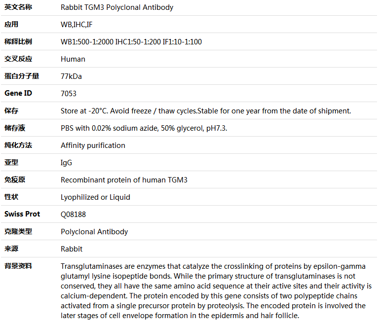 TGM3 Antibody,索莱宝,K004260P-50ul