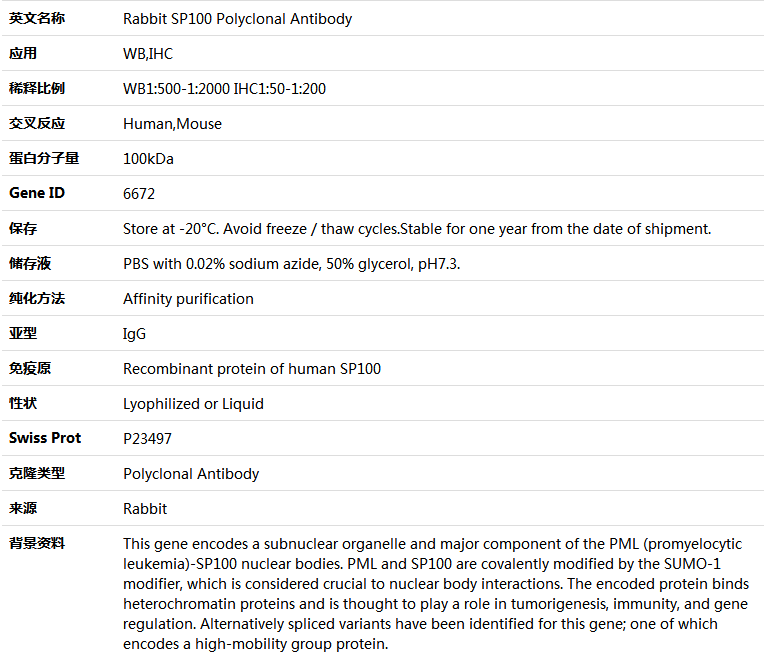 SP100 Antibody,索莱宝,K004256P-100ul