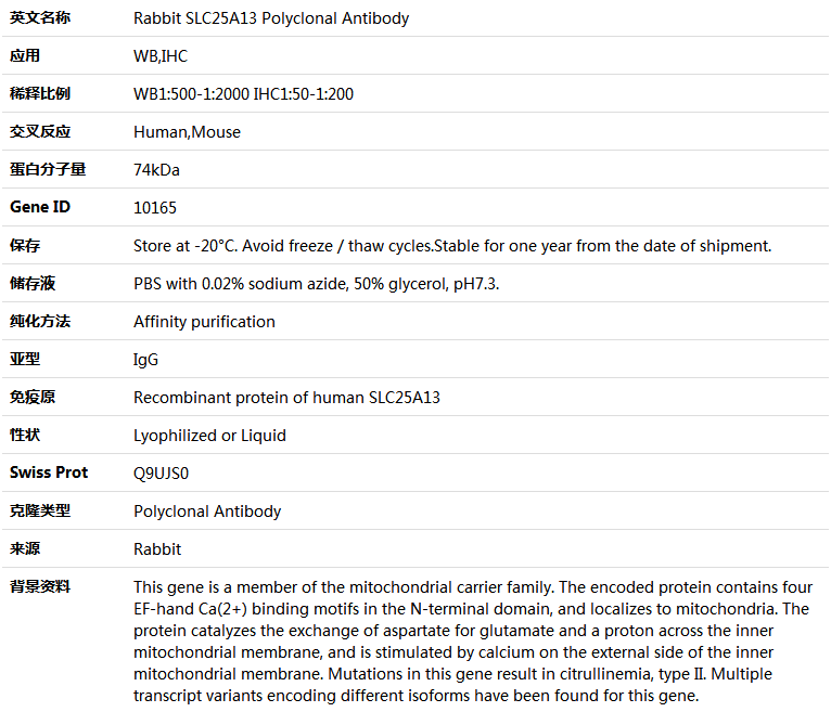 SLC25A13 Antibody,索莱宝,K004254P-100ul