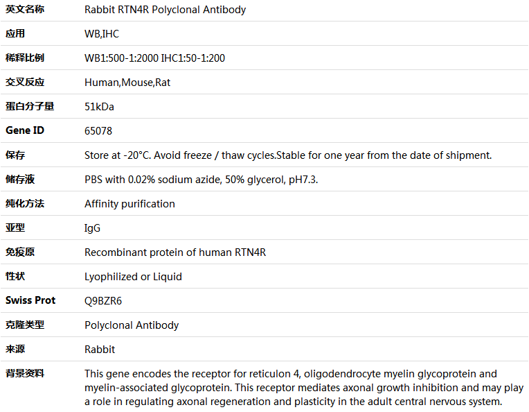 RTN4R Antibody,索莱宝,K004253P-100ul