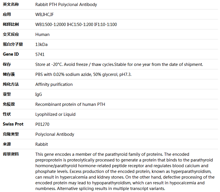 PTH Antibody,索莱宝,K004252P-100ul