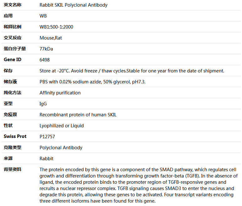 SKIL Antibody,索莱宝,K004250P-50ul