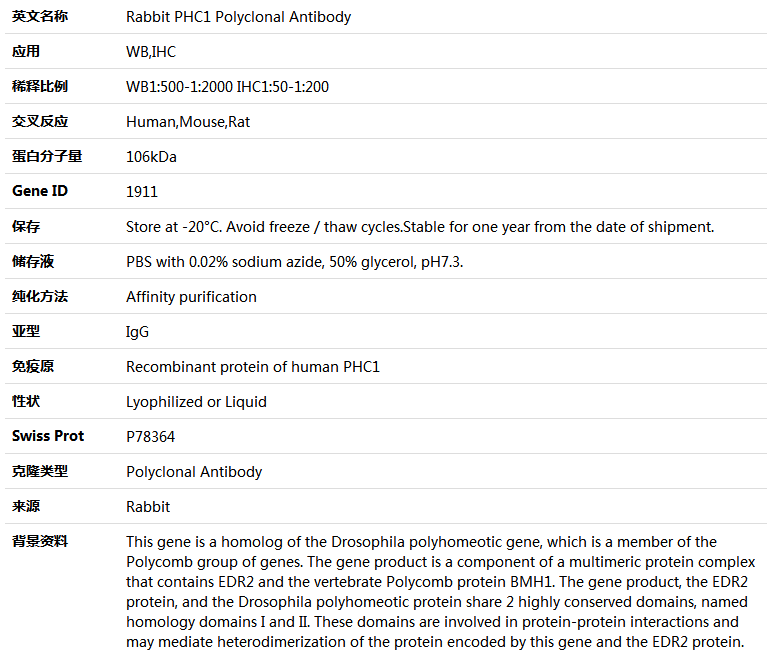 PHC1 Antibody,索莱宝,K004249P-100ul