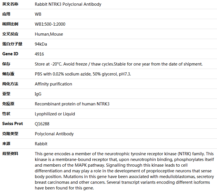 NTRK3 Antibody,索莱宝,K004248P-100ul