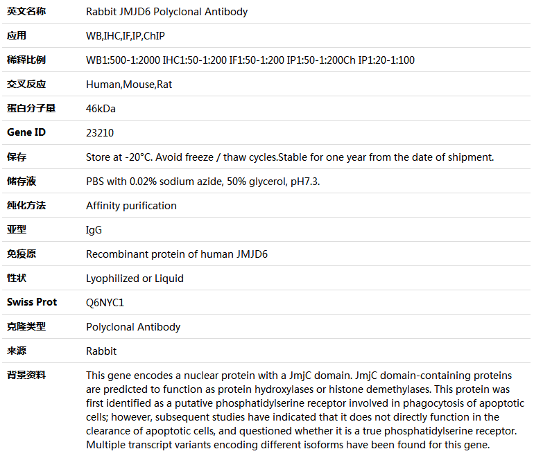 JMJD6 Antibody,索莱宝,K004246P-30ul