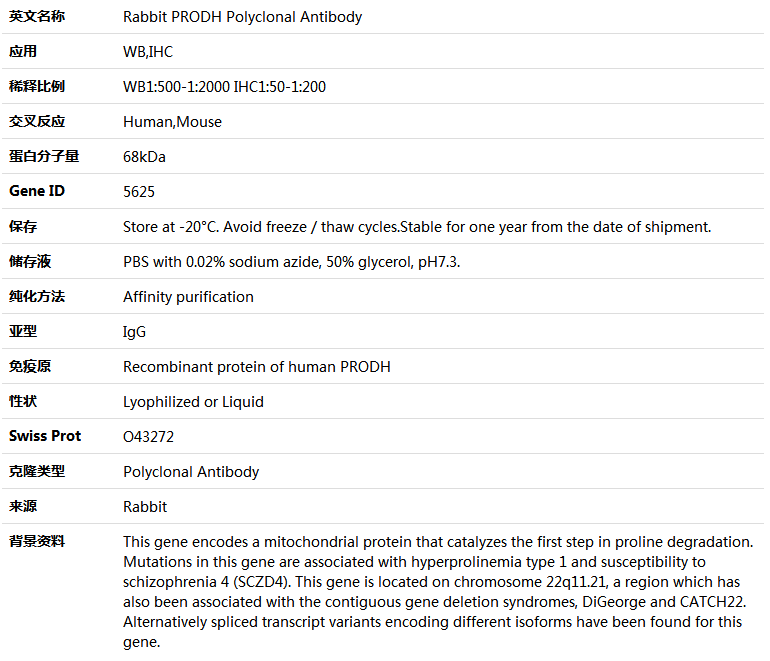 PRODH Antibody,索莱宝,K004244P-100ul