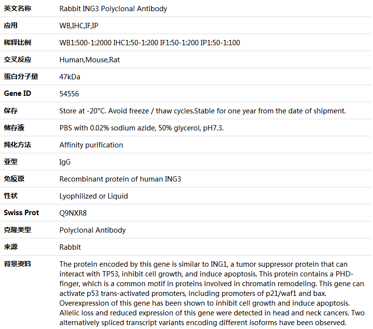 ING3 Antibody,索莱宝,K004241P-30ul