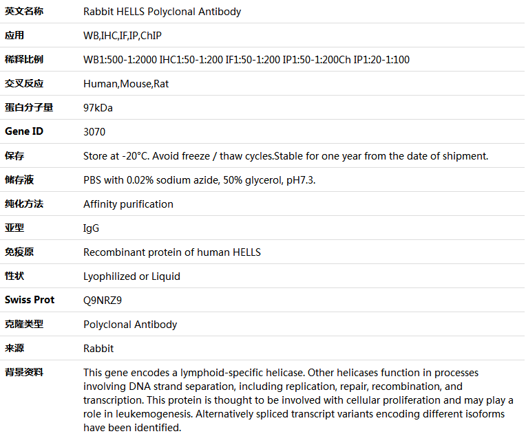 HELLS Antibody,索莱宝,K004240P-100ul