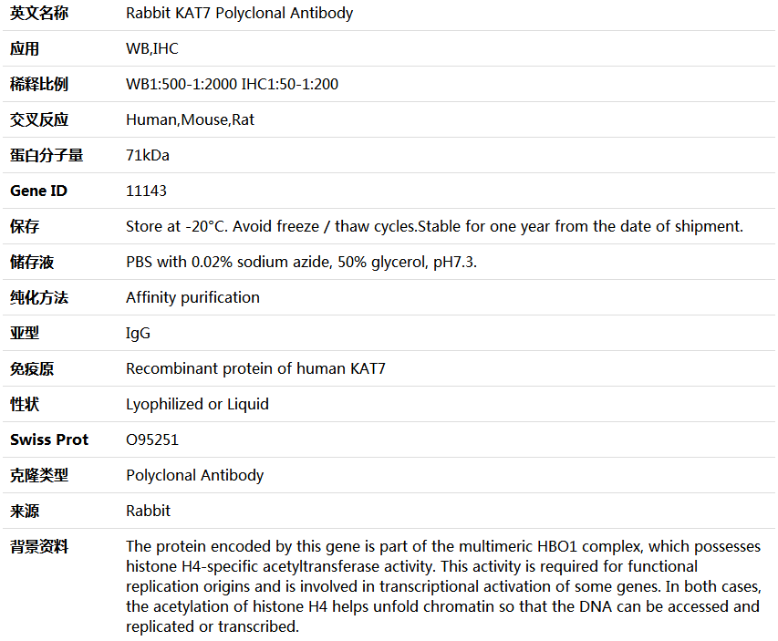 KAT7 Antibody,索莱宝,K004234P-100ul