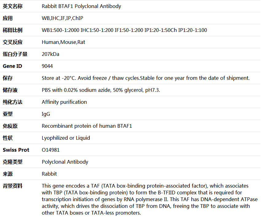 BTAF1 Antibody,索莱宝,K004227P-100ul