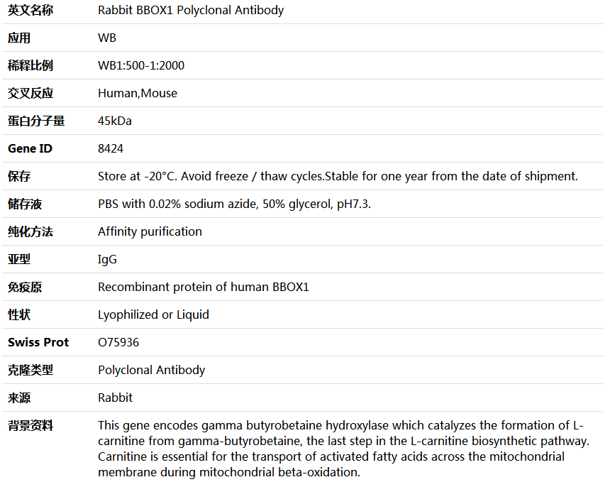 BBOX1 Antibody,索莱宝,K004226P-50ul