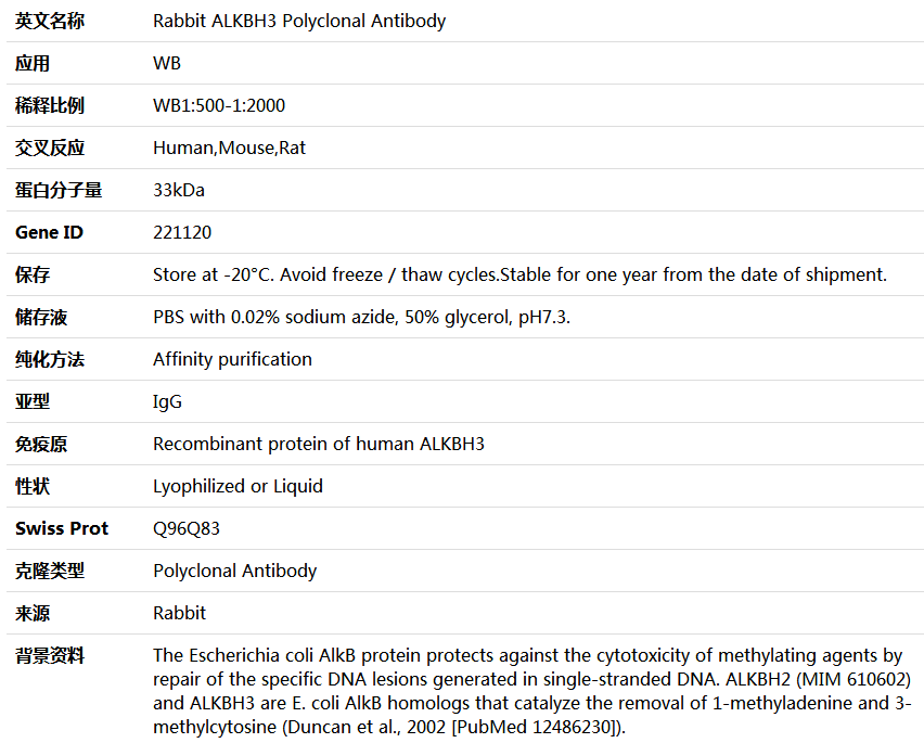 ALKBH3 Antibody,索莱宝,K004225P-50ul