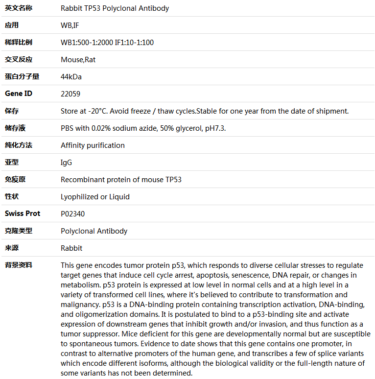 TP53 Antibody,索莱宝,K004223P-50ul