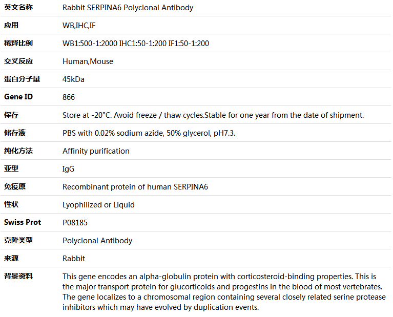 SERPINA6 Antibody,索莱宝,K004222P-100ul