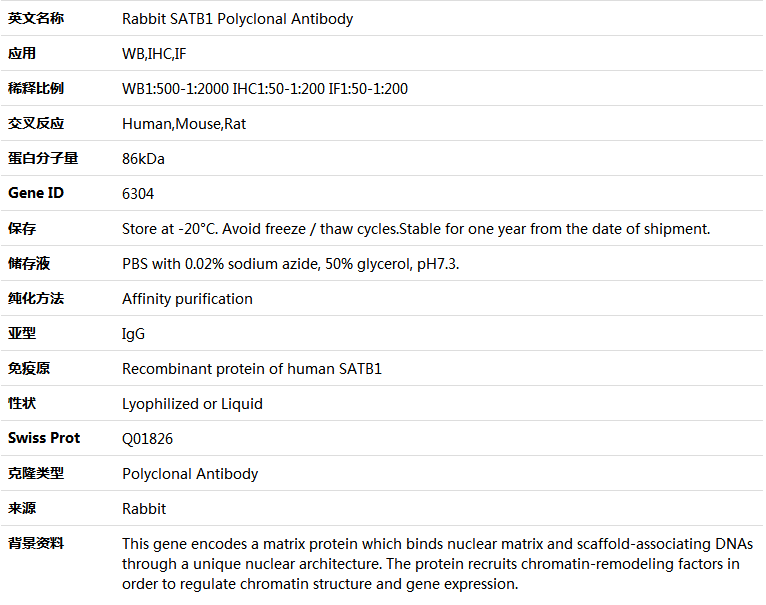 PPP2R1A Antibody,索莱宝,K004219P-100ul