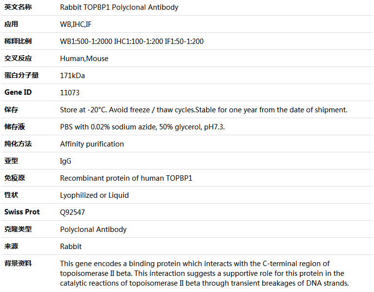 TOPBP1 Antibody,索莱宝,K004209P-100ul