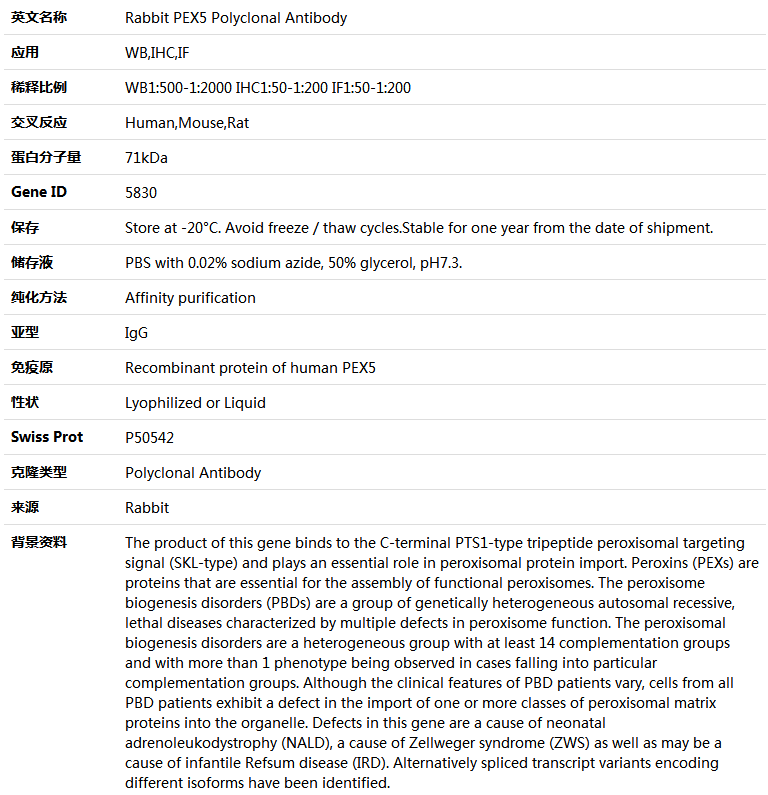 PEX5 Antibody,索莱宝,K004208P-50ul