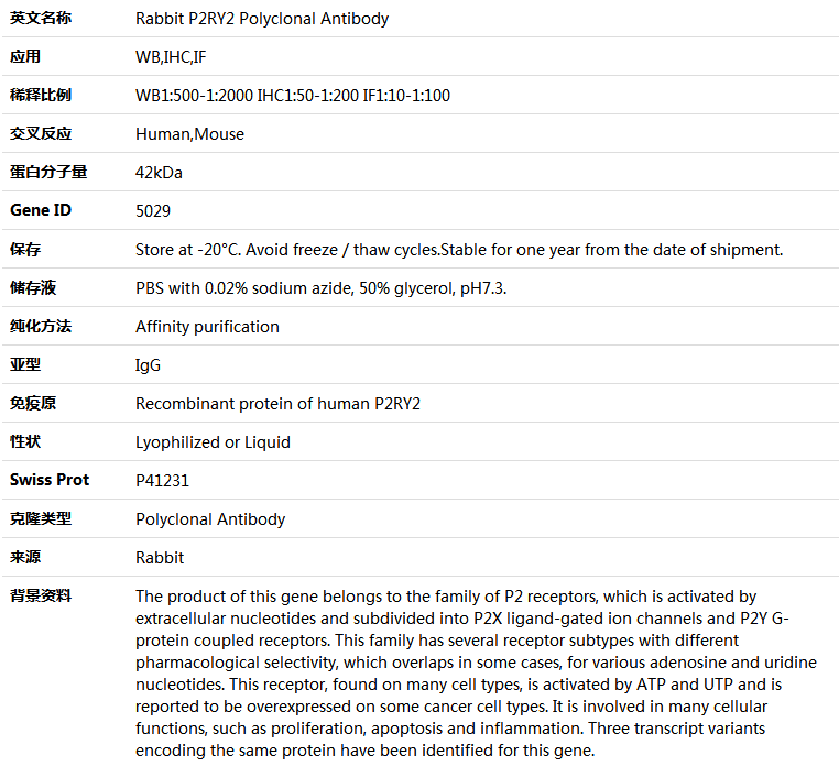 P2RY2 Antibody,索莱宝,K004207P-30ul