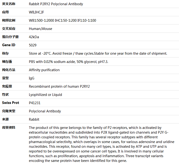 P2RY2 Antibody,索莱宝,K004207P-50ul