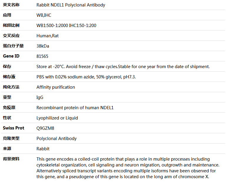 NDEL1 Antibody,索莱宝,K004204P-100ul