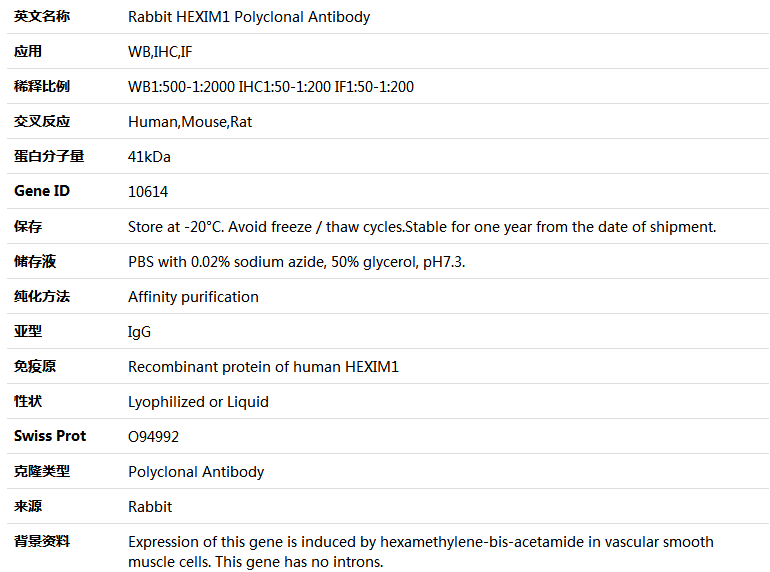 HEXIM1 Antibody,索莱宝,K004203P-100ul