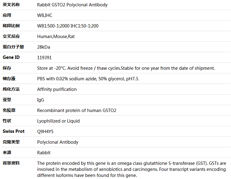 GSTO2 Antibody,索莱宝,K004202P-100ul