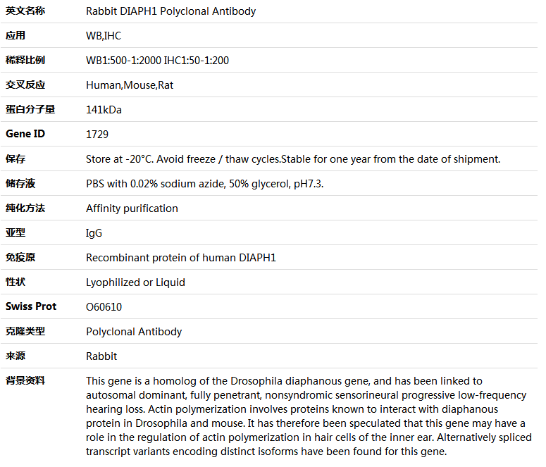 DIAPH1 Antibody,索莱宝,K004200P-100ul
