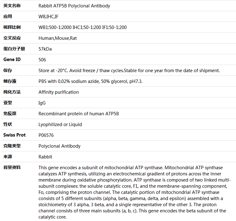 ATP5B Antibody,索莱宝,K004199P-100ul