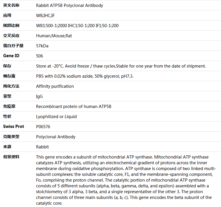 ATP5B Antibody,索莱宝,K004199P-50ul