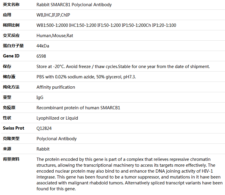 SMARCB1 Antibody,索莱宝,K004197P-100ul