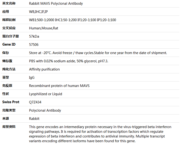 MAVS Antibody,索莱宝,K004195P-100ul