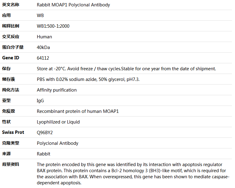 MOAP1 Antibody,索莱宝,K004190P-50ul