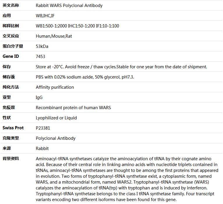 WARS Antibody,索莱宝,K004189P-100ul