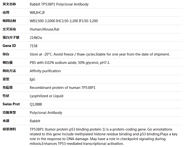 TP53BP1 Antibody,索莱宝,K004188P-100ul