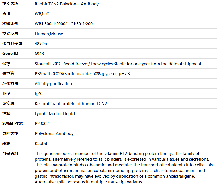 TCN2 Antibody,索莱宝,K004186P-50ul