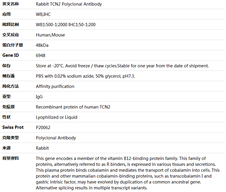 TCN2 Antibody,索莱宝,K004186P-100ul