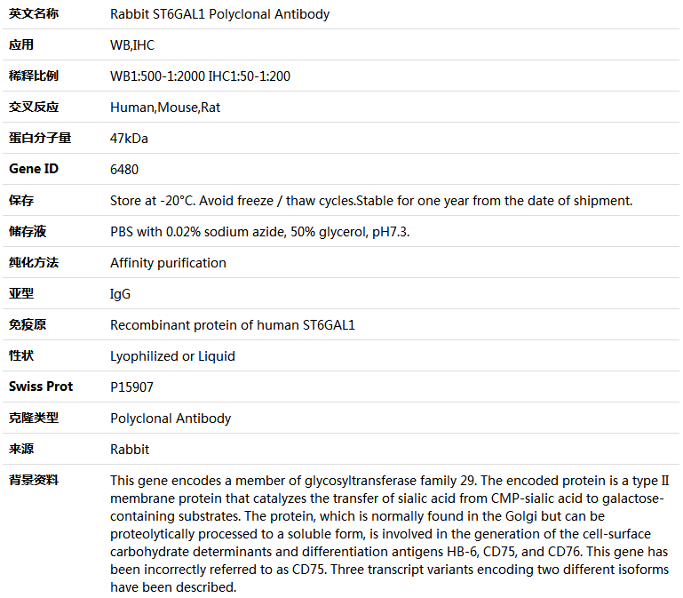 ST6GAL1 Antibody,索莱宝,K004185P-100ul