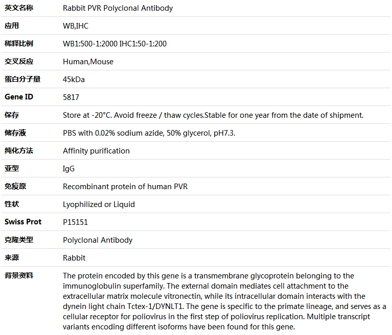 PVR Antibody,索莱宝,K004184P-100ul