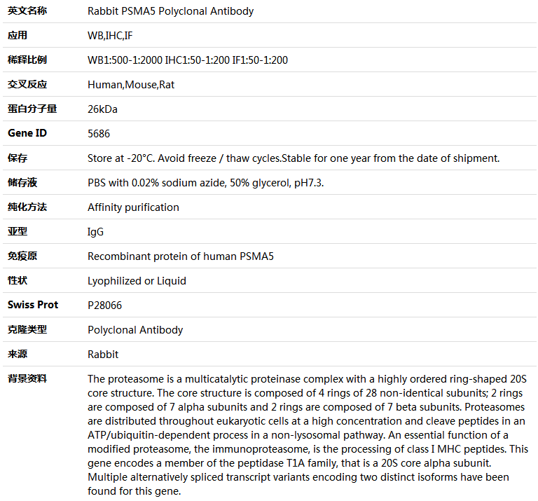 PSMA5 Antibody,索莱宝,K004183P-50ul