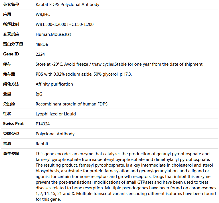 FDPS Antibody,索莱宝,K004178P-30ul