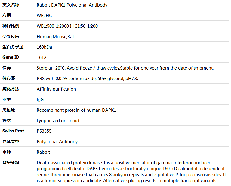 DAPK1 Antibody,索莱宝,K004176P-50ul