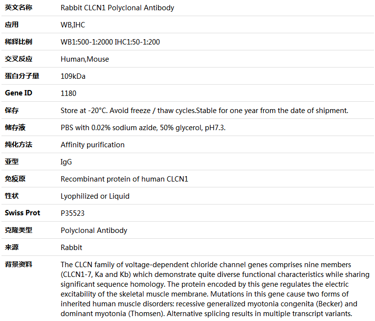 CLCN1 Antibody,索莱宝,K004175P-100ul