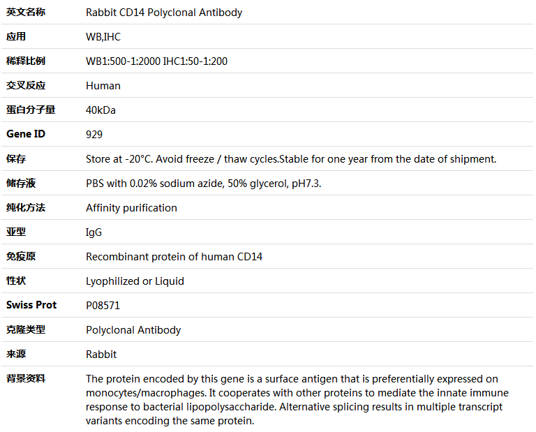 CD14 Antibody,索莱宝,K004174P-50ul