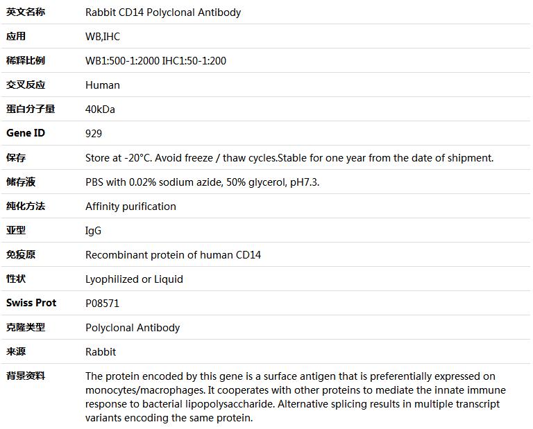 CD14 Antibody,索莱宝,K004174P-100ul