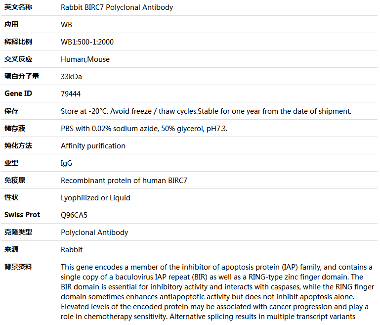 BIRC7 Antibody,索莱宝,K004173P-50ul
