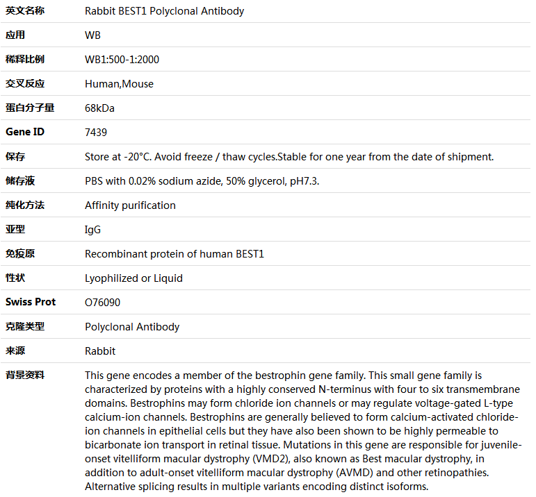BEST1 Antibody,索莱宝,K004172P-50ul