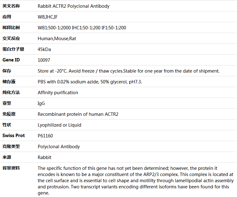 ACTR2 Antibody,索莱宝,K004171P-100ul