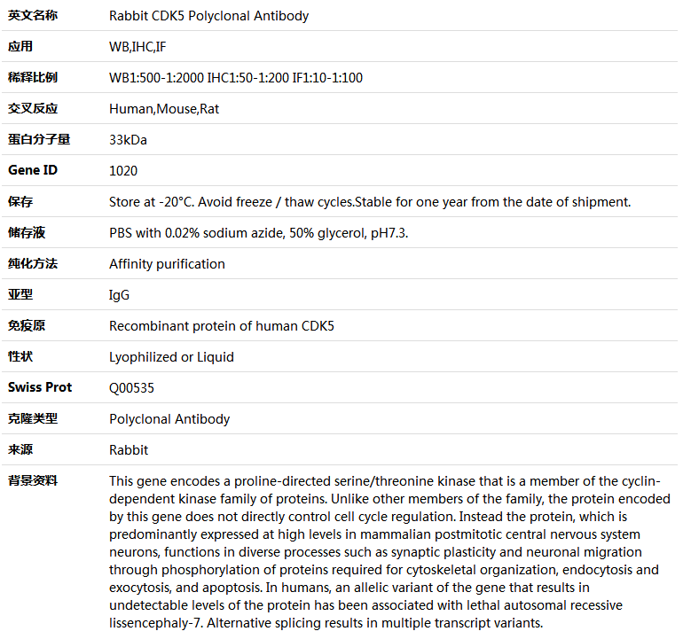 CDK5 Antibody,索莱宝,K004169P-30ul