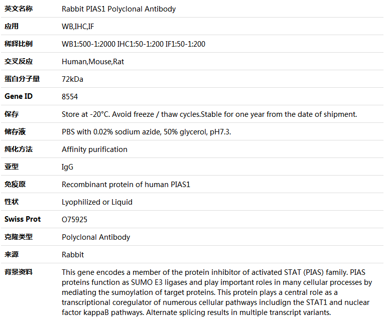 PIAS1 Antibody,索莱宝,K004168P-50ul
